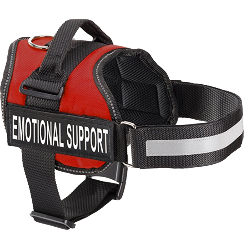 Dog Registration & Emotional Support Dogs