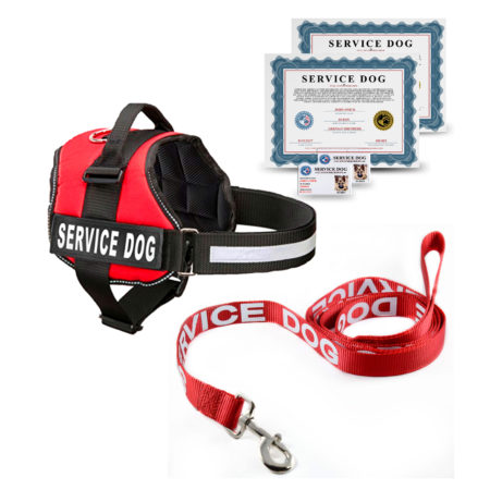 Service Dog Leash | Service Dog and Emotional Support Animal Registration