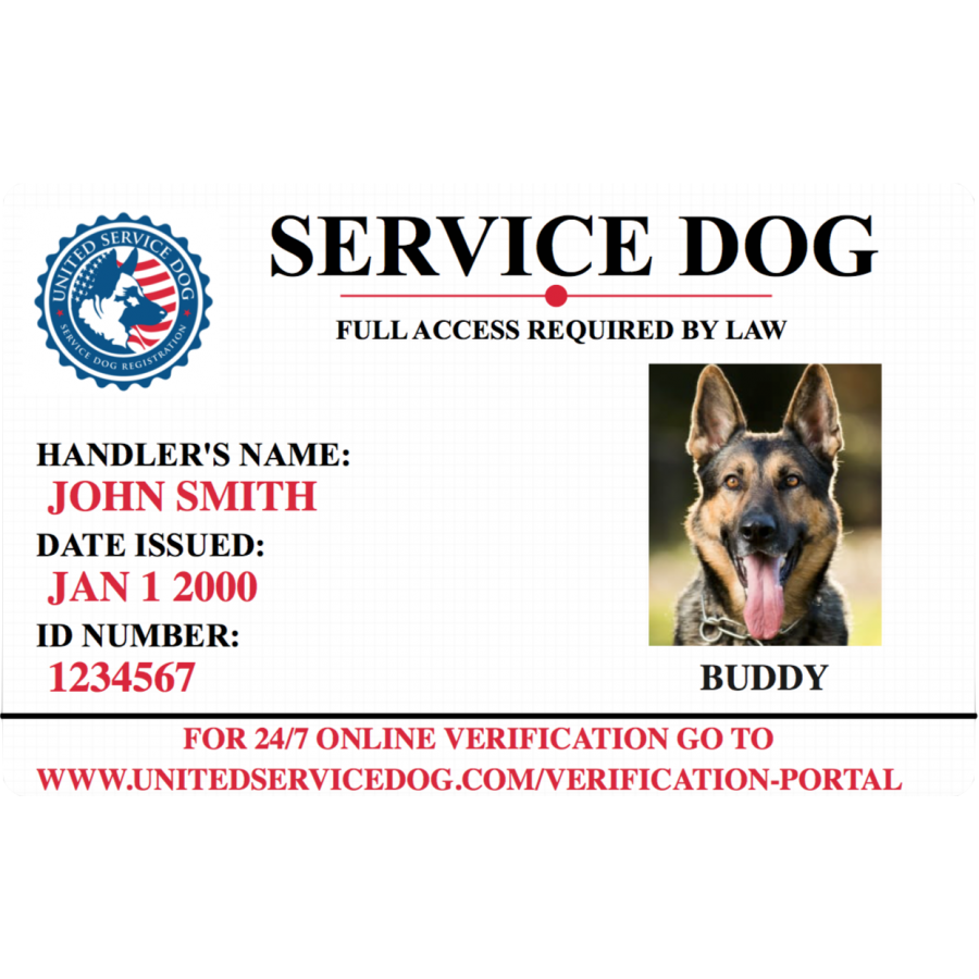 Free Service Dog Id Card Template