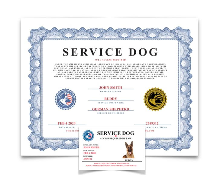 Service Dog Documentation Kit Service Animal Papers