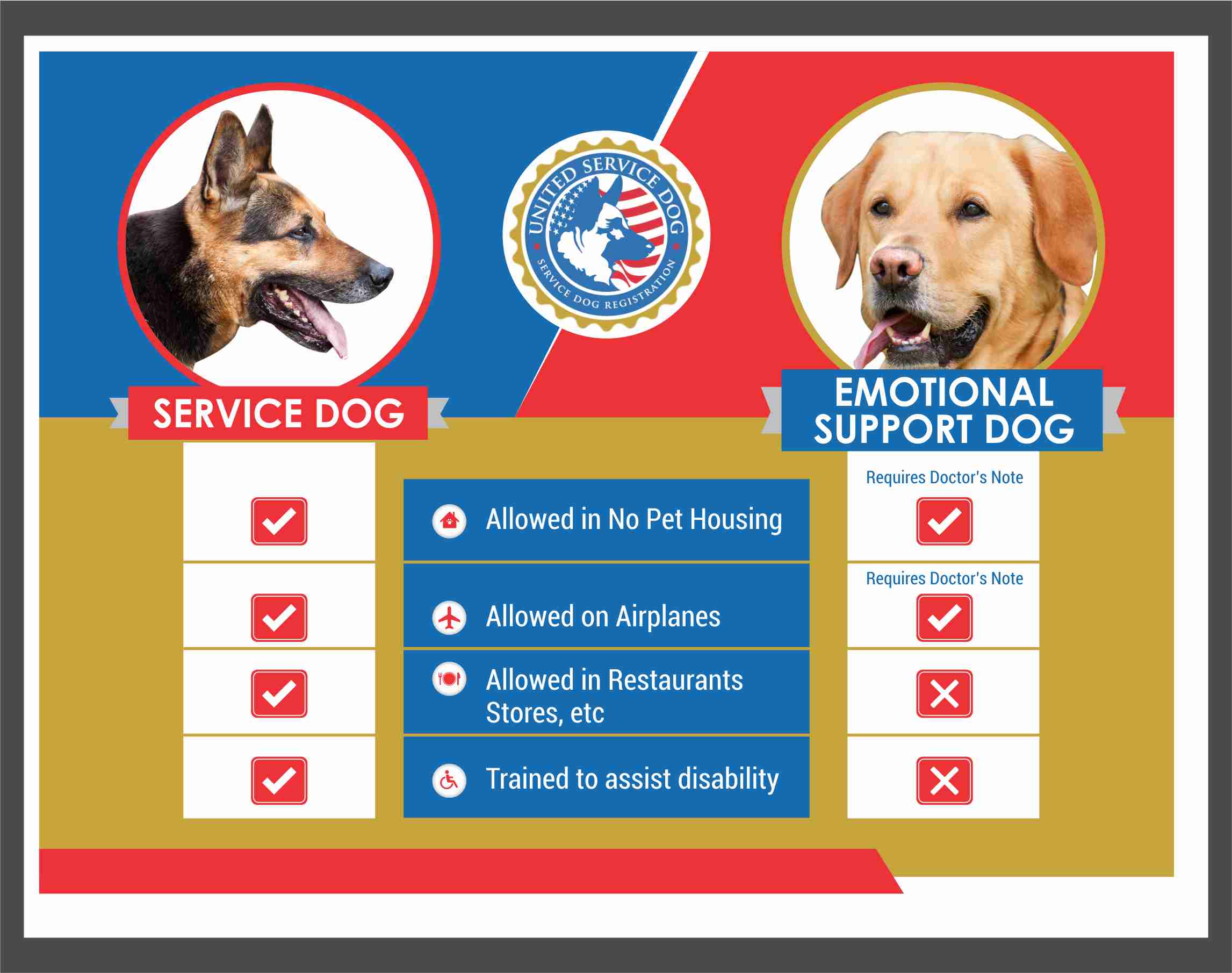 ONLINE EVALUATION | Service Dog and Emotional Support Animal Registration