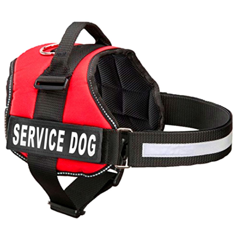 Thumbnail 17 Service Dog And Emotional Support Animal Registration